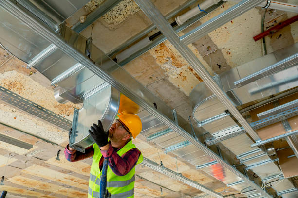 Best Furnace Cleaning in Grayvle, IL